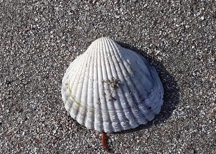 Style Place Къща за гости 3*