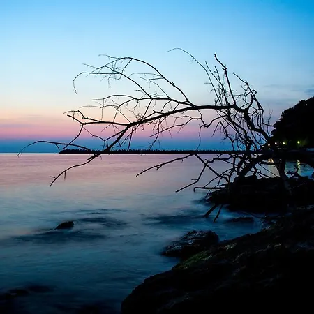 Style Place Konukevi 3*