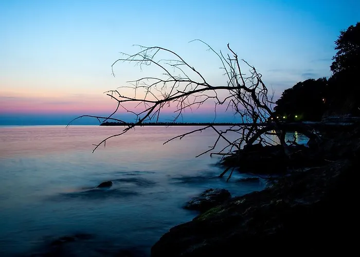 Style Place Gasthuis 3*